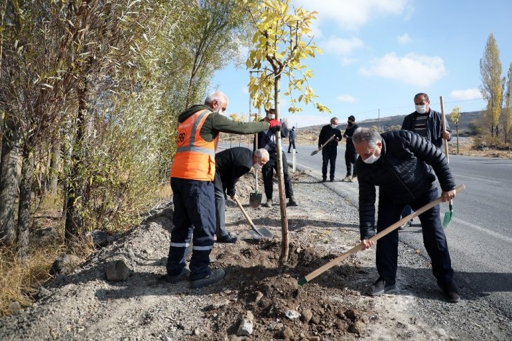 Başkan Yalçın: “Bugüne kadar 70 bin ağaç diktik”
