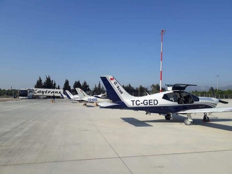 Tilkilere köfte şeklinde kuduz aşısı