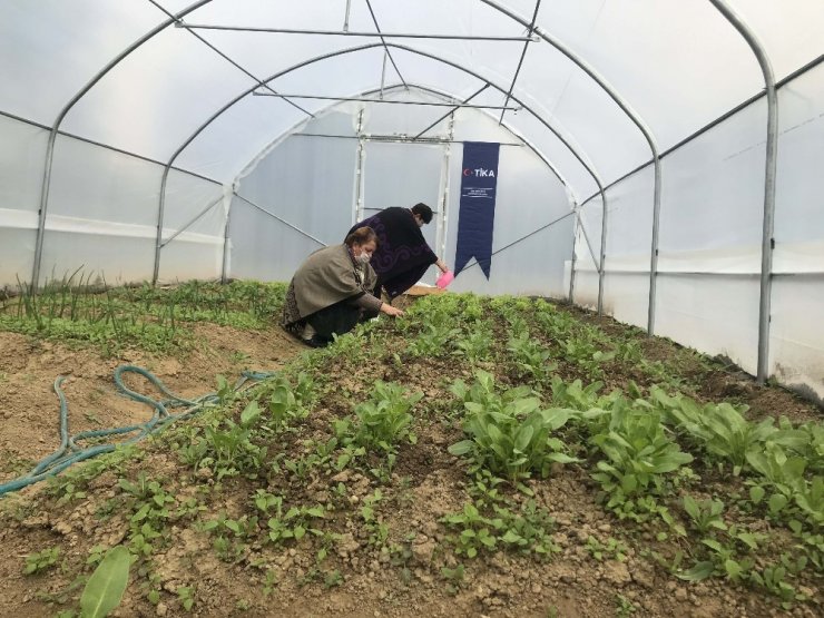 TİKA ile Bosnalı anneler tarımsal ekonomiye katkı sağlıyor