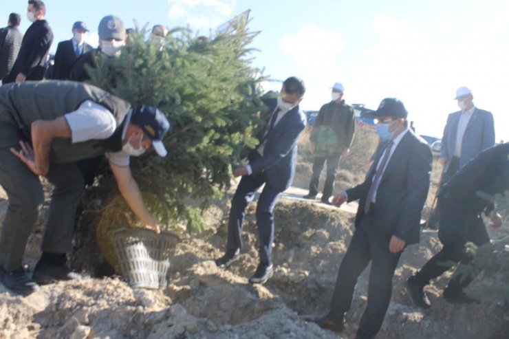 Çankırı’da 73 bin fidan toprakla buluşturuldu