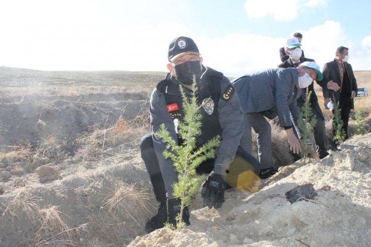 Çankırı’da 73 bin fidan toprakla buluşturuldu