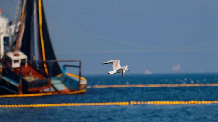 Balıkçı tekneleri, İstanbul Boğazı’nın eşsiz manzarasıyla birleşti