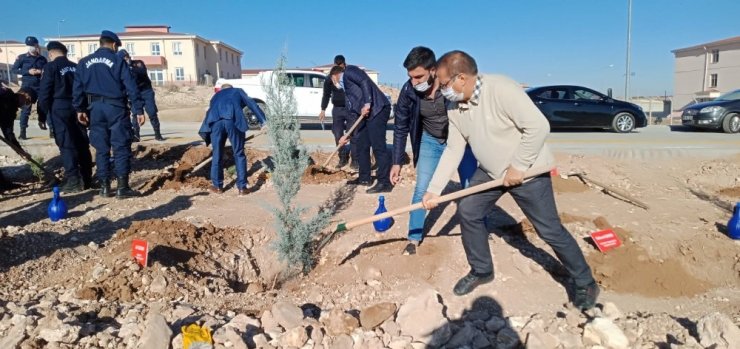 Akçadağ’da bin adet fidan toprakla buluştu