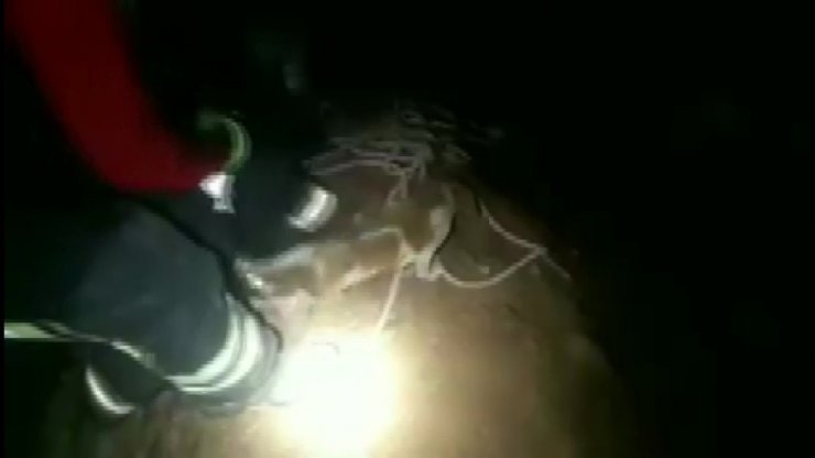 Çukura düşen köpeği itfaiye ekipleri kurtardı