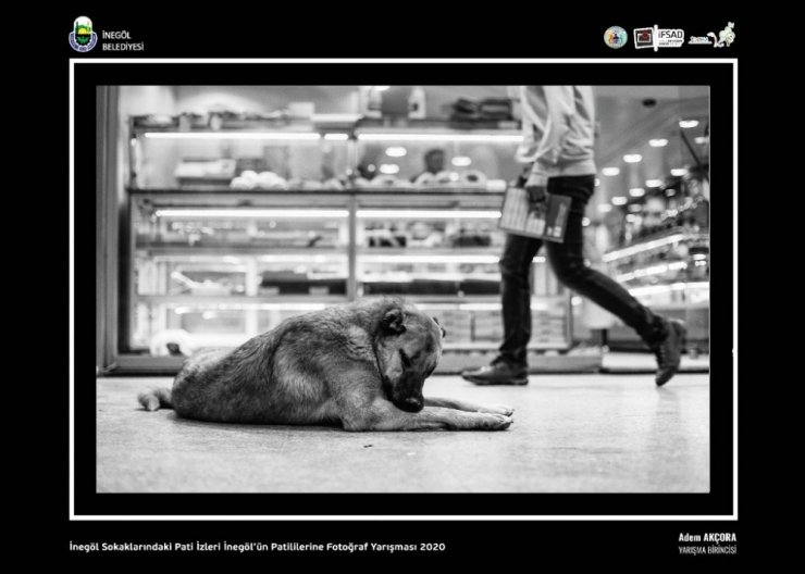 İnegöl sokaklarındaki pati izleri fotoğraflarla ölümsüzleşti