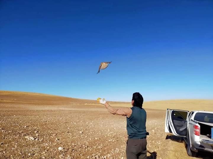 Konya’da canlı mührelerle avlanan 9 avcıya 41 bin 780 lira ceza