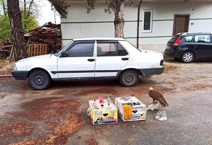 Konya’da canlı mührelerle avlanan 9 avcıya 41 bin 780 lira ceza