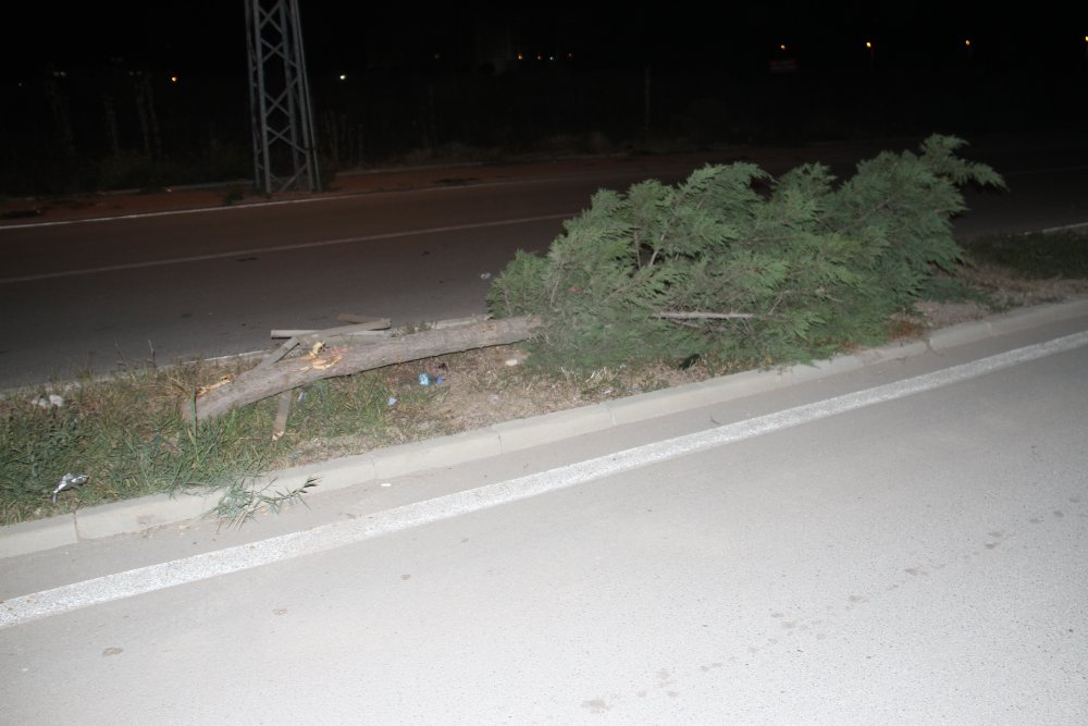 Konya'da otomobil refüjdeki ağaca çarptı! 1 yaralı