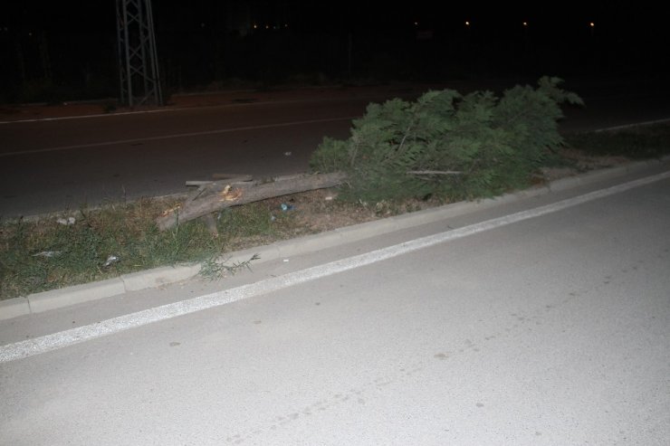 Konya’da otomobil ağaca çarptı: 1 yaralı