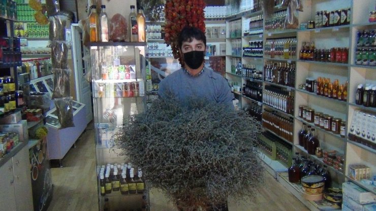 Korona kekiğe ilgiyi artırdı