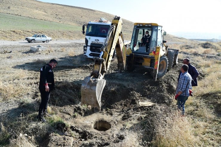 Foseptik çukuruna düşen eşek kurtarıldı