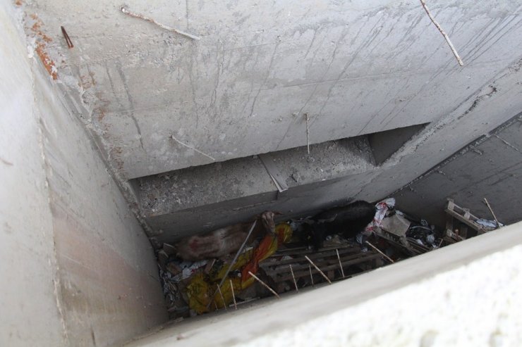 Drenaj kanalına düşen 2 keçiyi itfaiye ekipleri kurtardı