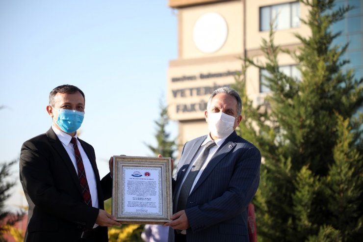 Başkan Yalçın’a ‘Yılın Hayvanseveri’ beratı