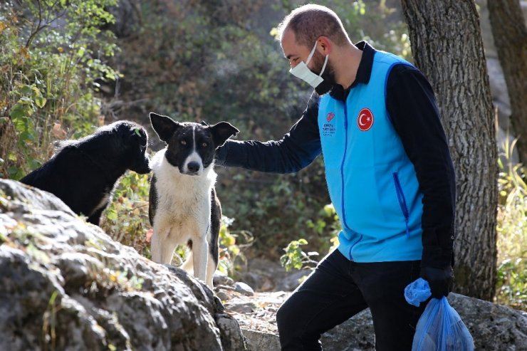 Türkiye Diyanet Vakfı gönüllülerinden anlamlı doğa yürüyüşü