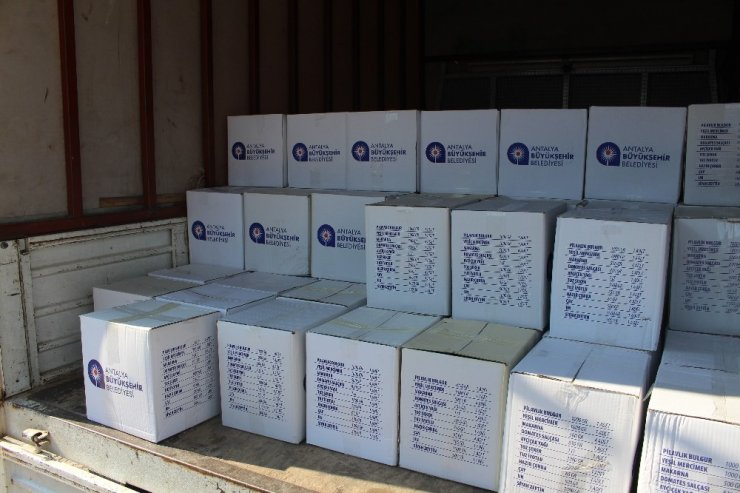 Büyükşehir’den karantinadaki Finike Yuvalı’ya gıda desteği