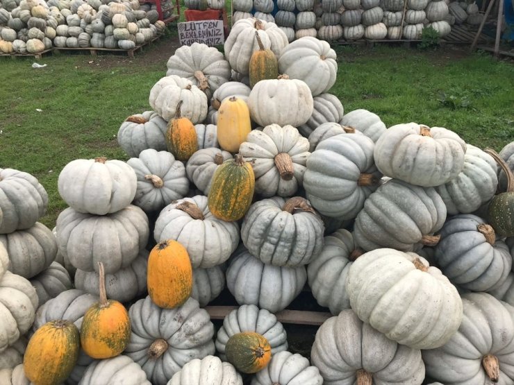 Türkiye’nin her bölgesinde büyük ilgi görüyor
