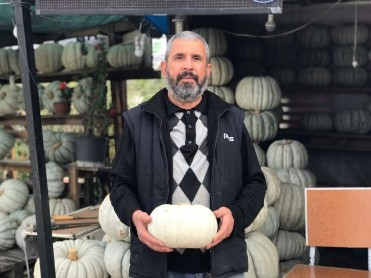 Türkiye’nin her bölgesinde büyük ilgi görüyor