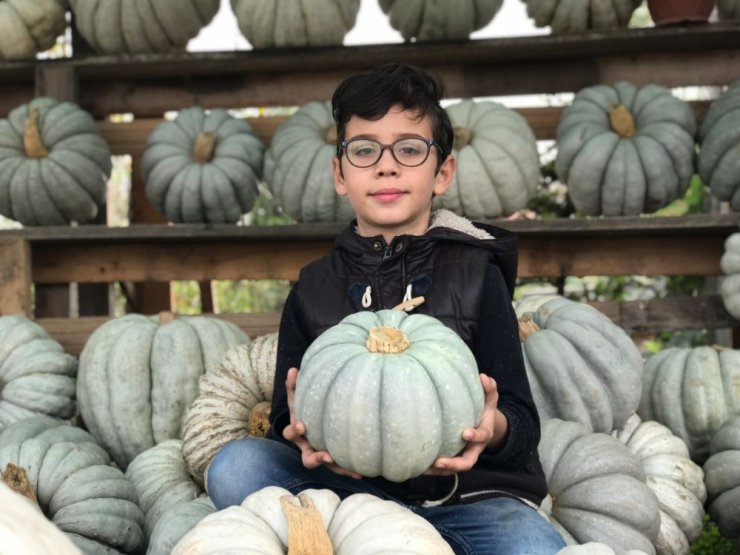 Türkiye’nin her bölgesinde büyük ilgi görüyor