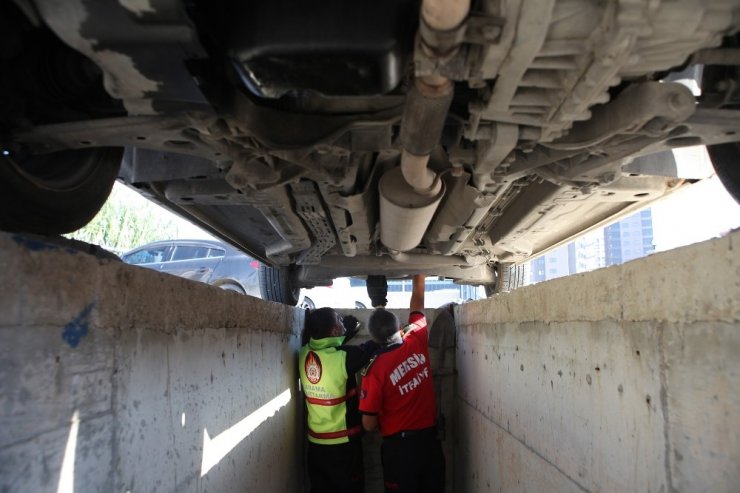 Kaputa giren yavru kediler itfaiye ekiplerince kurtarıldı