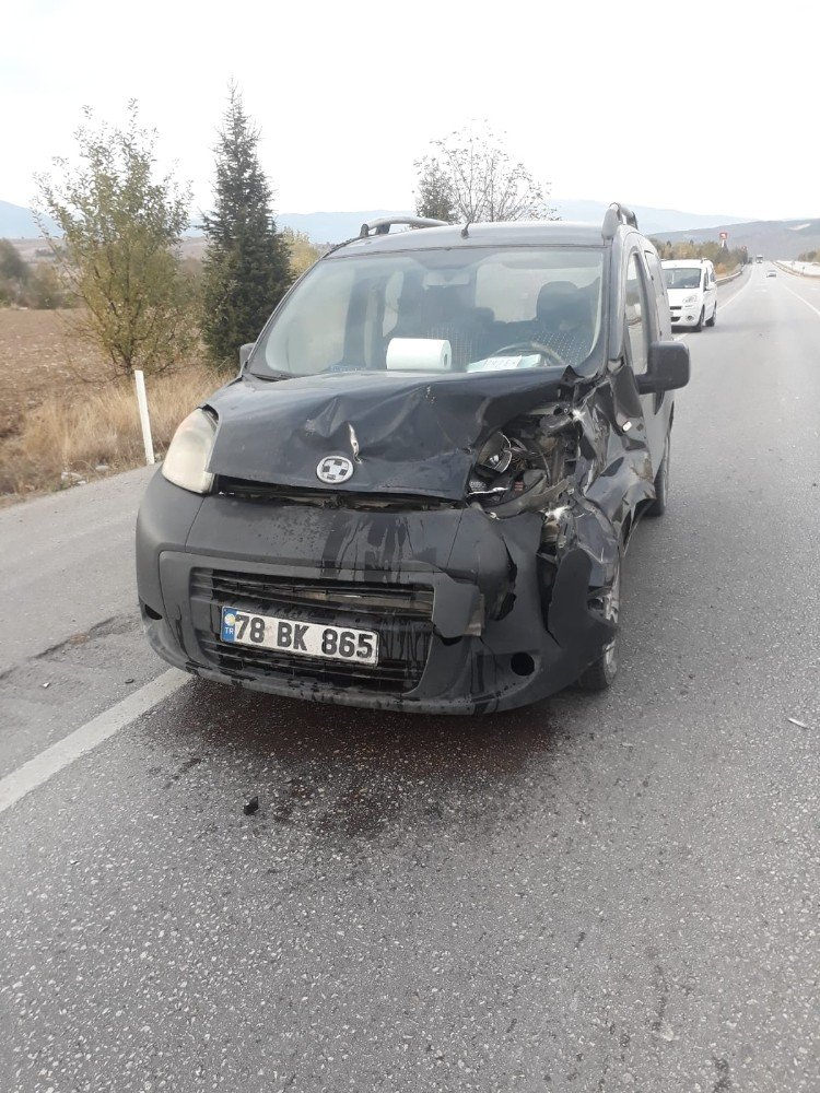 Ticati araç hızla çarptı! Telef olduğu düşünülen inek bir anda canlandı