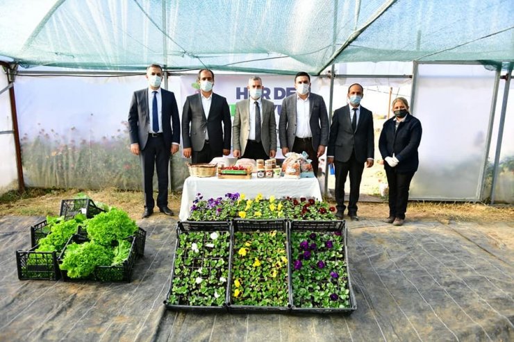 Yeşilyurt Belediye, kendi çiçeğini üretiyor