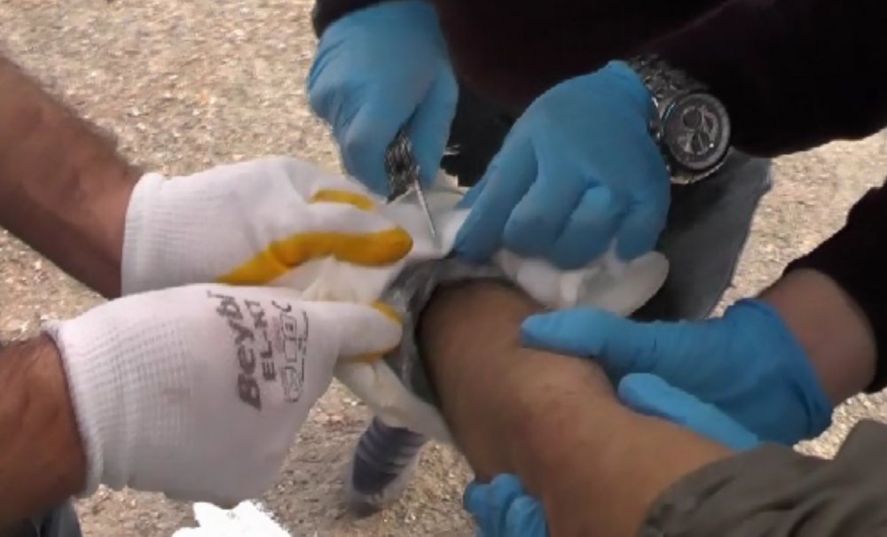 Şehri kana bulayacaktı! Kolunda alçı görünümünde bombayla yakalandı