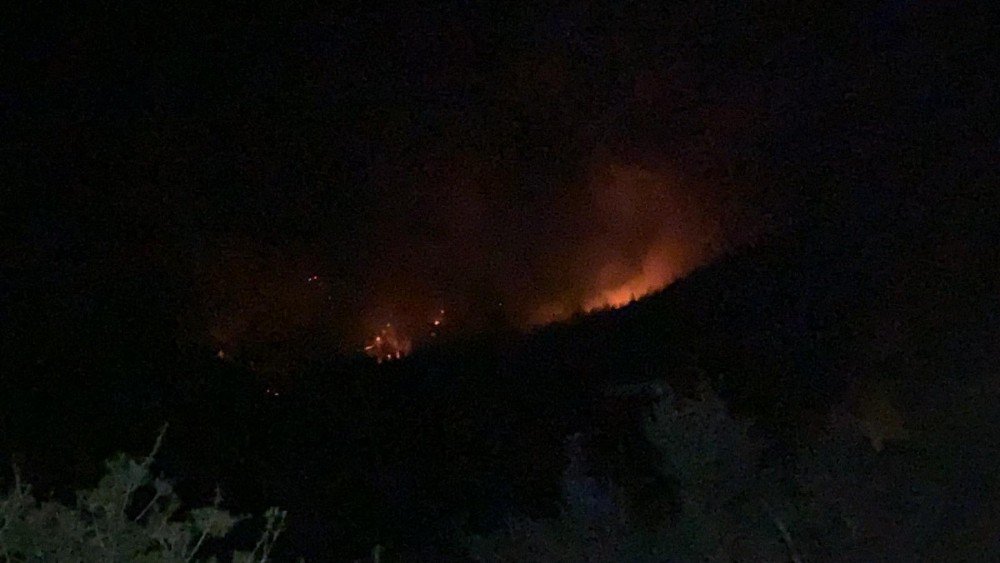 İskenderun'daki orman yangını kontrol altına alındı