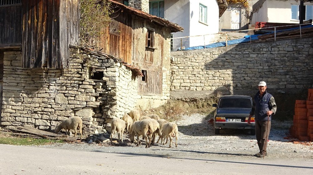 Nüfusunun yarısı koronaya yakalandı kimse vefat etmedi