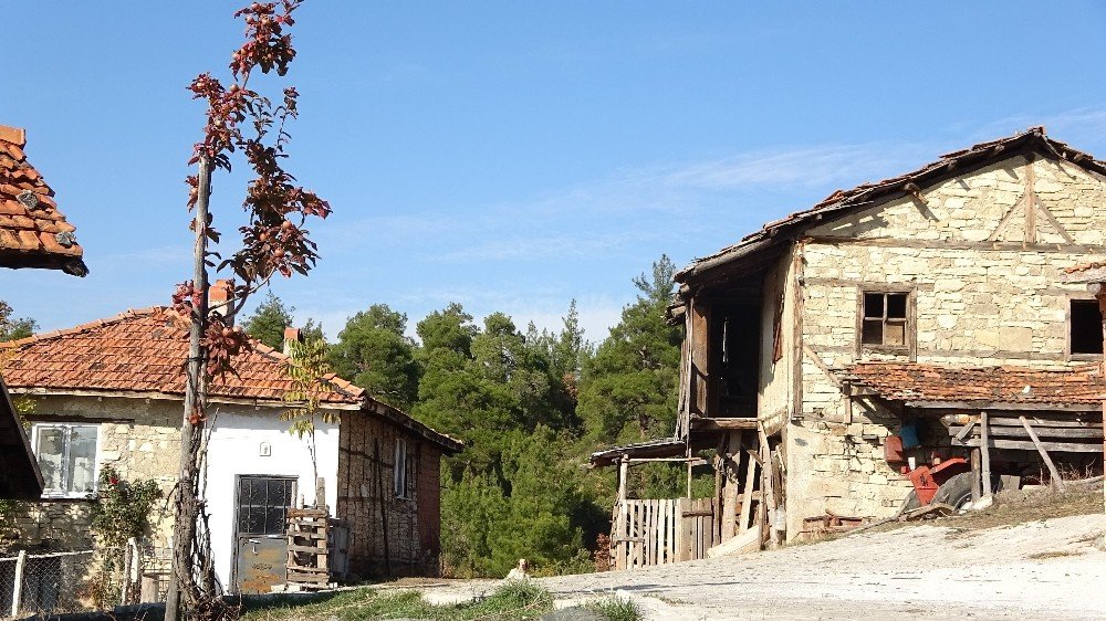 Nüfusunun yarısı koronaya yakalandı kimse vefat etmedi
