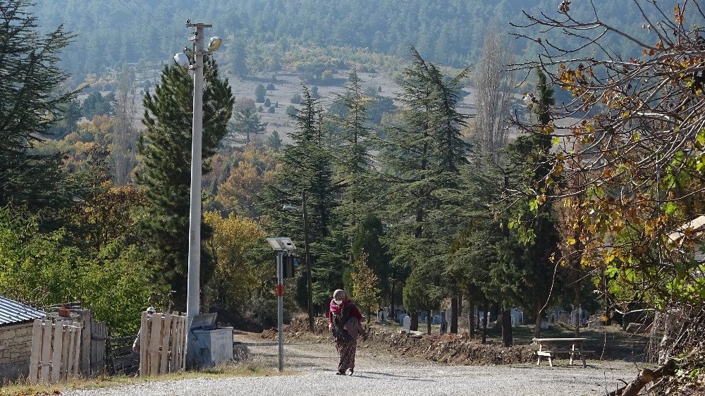 Nüfusunun yarısı koronaya yakalandı kimse vefat etmedi