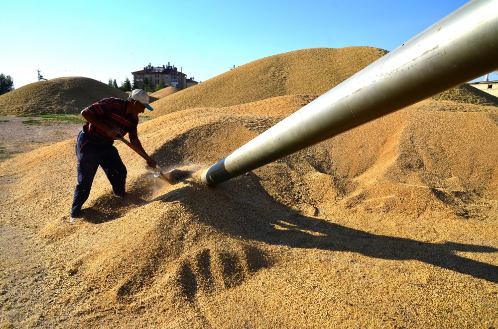 Ata tohumu seferberliği! Tarımda dışa bağımlılığı bitirecek