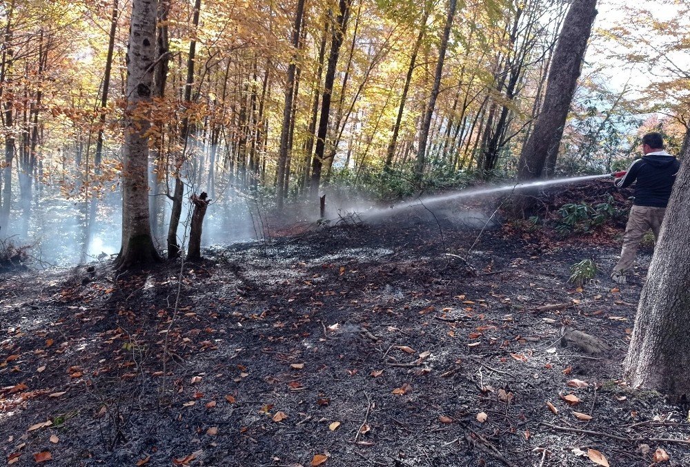 Çamlı köyünde çıkan orman yangını 3 saatte söndürüldü