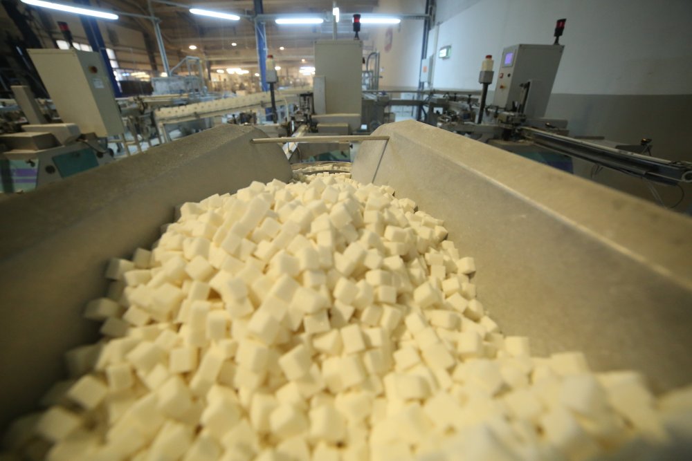 Konya Şeker'de tarladan sofralara 'tatlı' telaş