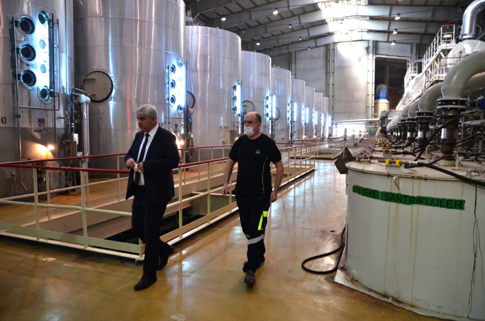 Konya Şeker'de tarladan sofralara 'tatlı' telaş