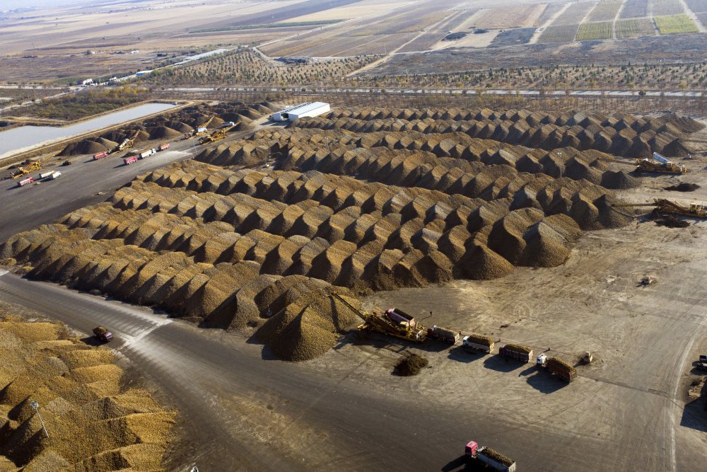 Konya Şeker'de tarladan sofralara 'tatlı' telaş