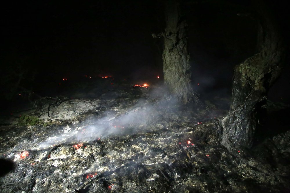 İnebolu'daki orman yangını kontrol altına alındı
