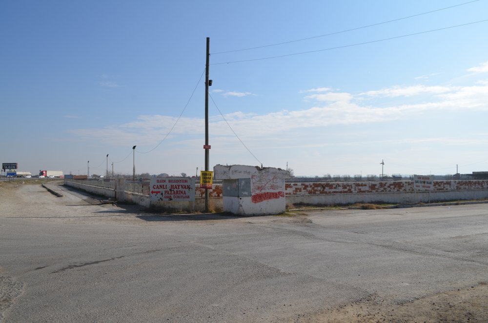 Koronavirüs mücadelesinin sürdüğü Konya'da şimdi de şap karantinası