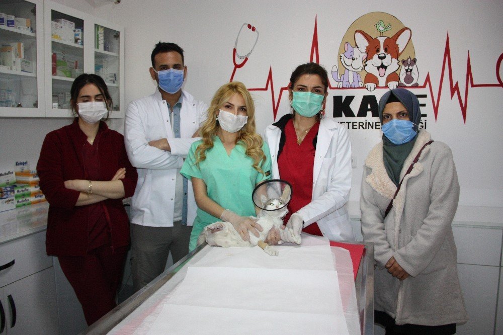 Büyü yapmak için bir kedinin daha ayaklarını kestiler!