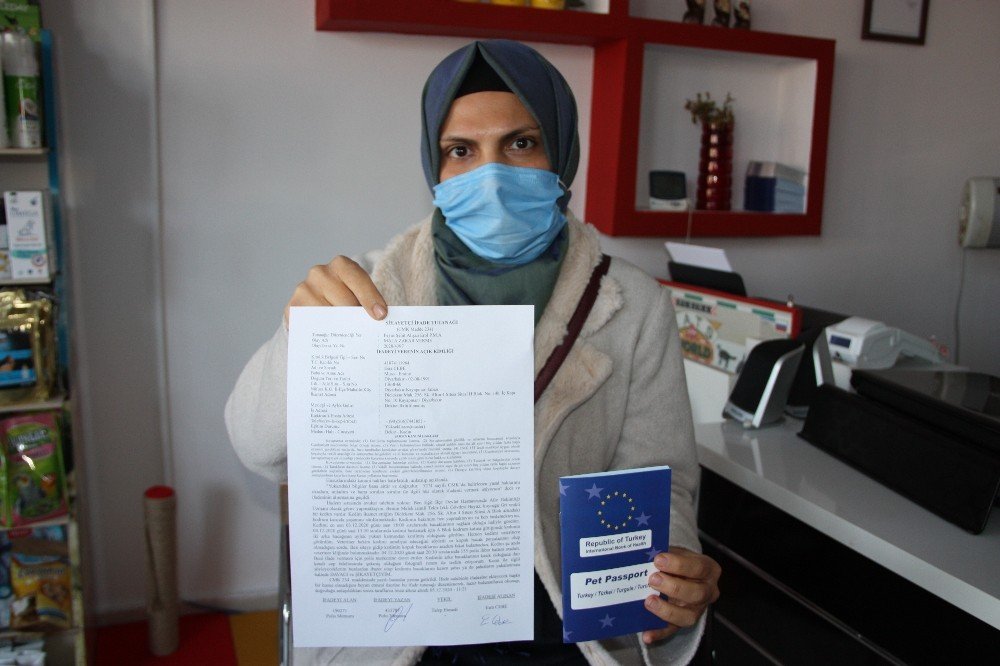 Büyü yapmak için bir kedinin daha ayaklarını kestiler!