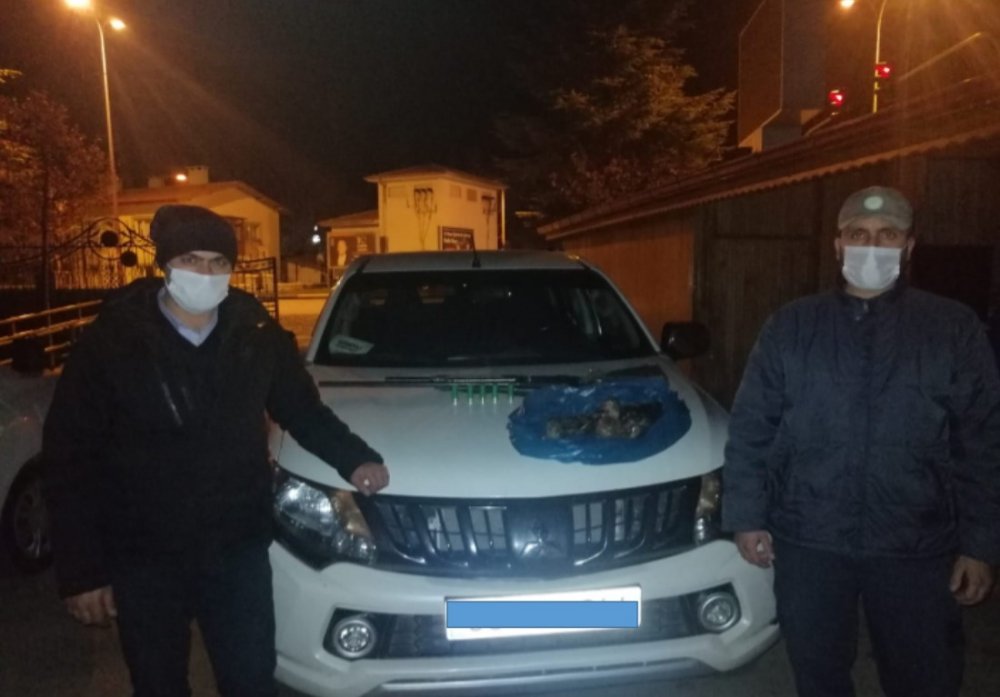 Beyşehir'de ördek katliamı yapan kişiler yakayı ele verdi