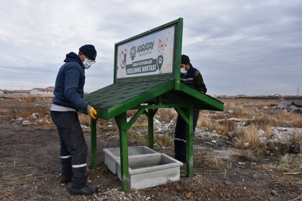Belediye Konya'daki vahşete kayıtsız kalmadı! 9 yavru köpeğin telef edildiği alana beslenme noktası kuruldu