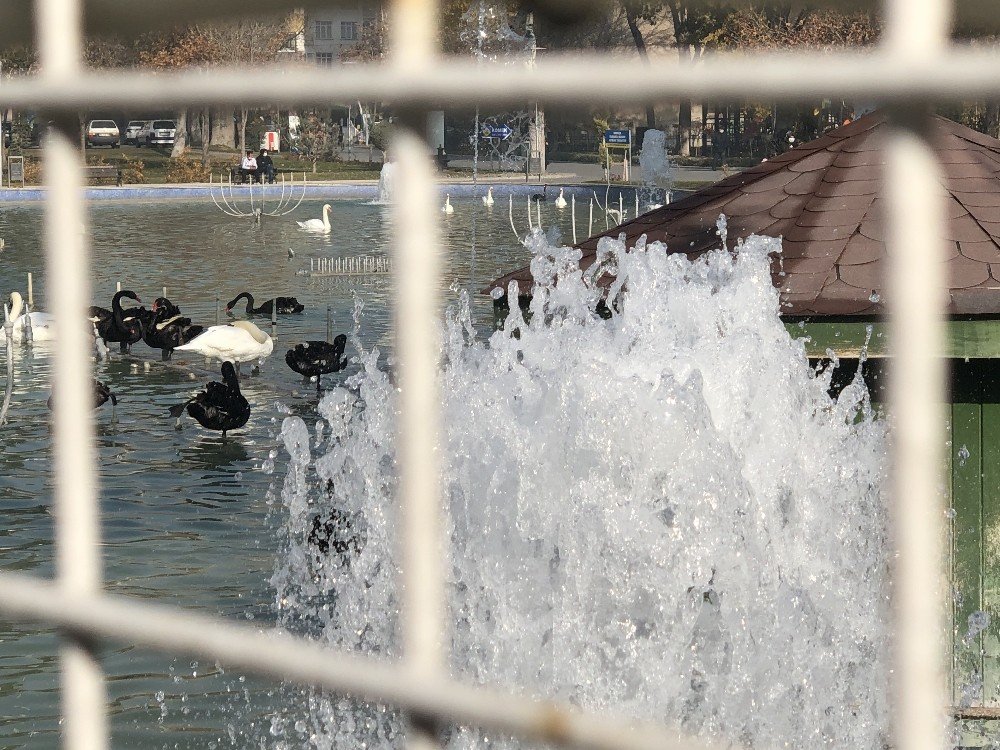 Konya Aralık'ta sonbaharı yaşadı
