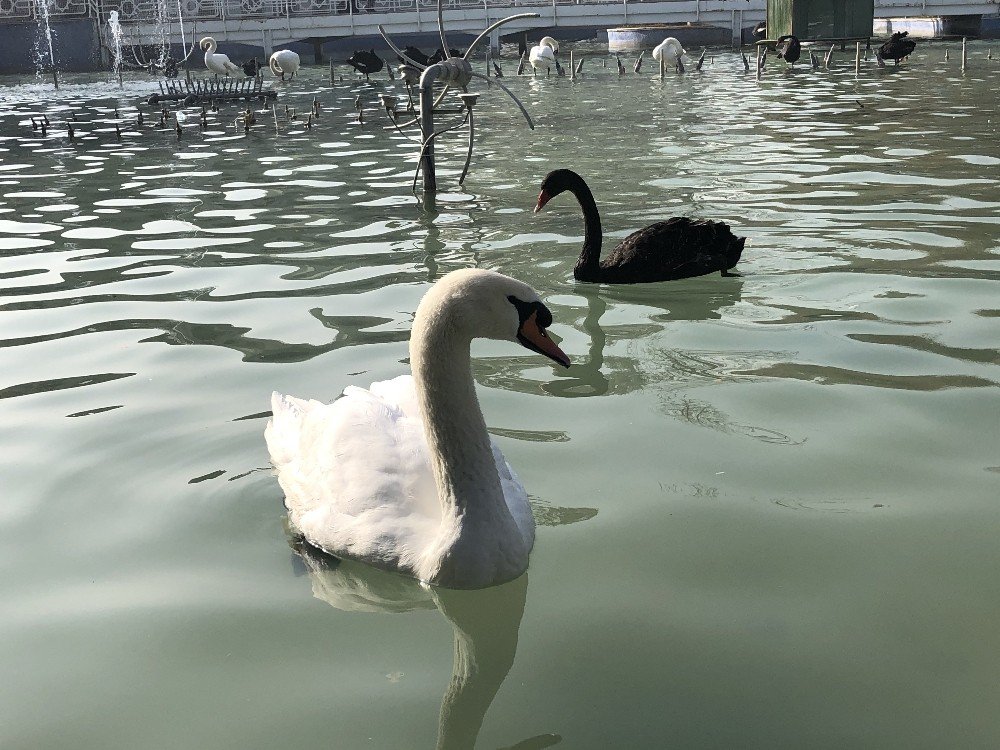 Konya Aralık'ta sonbaharı yaşadı
