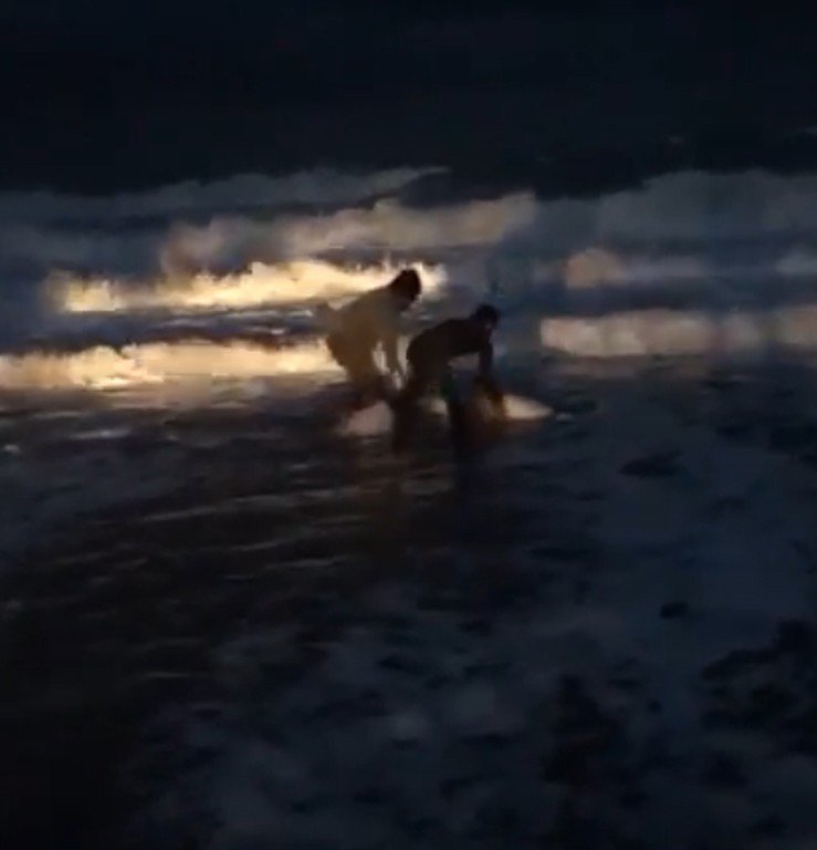 Fırtınada sahile vuran yunusu duyarlı vatandaş kurtardı