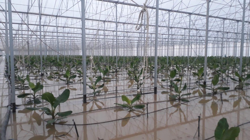 Antalya’da selin bilançosu ağır oldu! 9 bin 530 dekar ekili alan zarar gördü