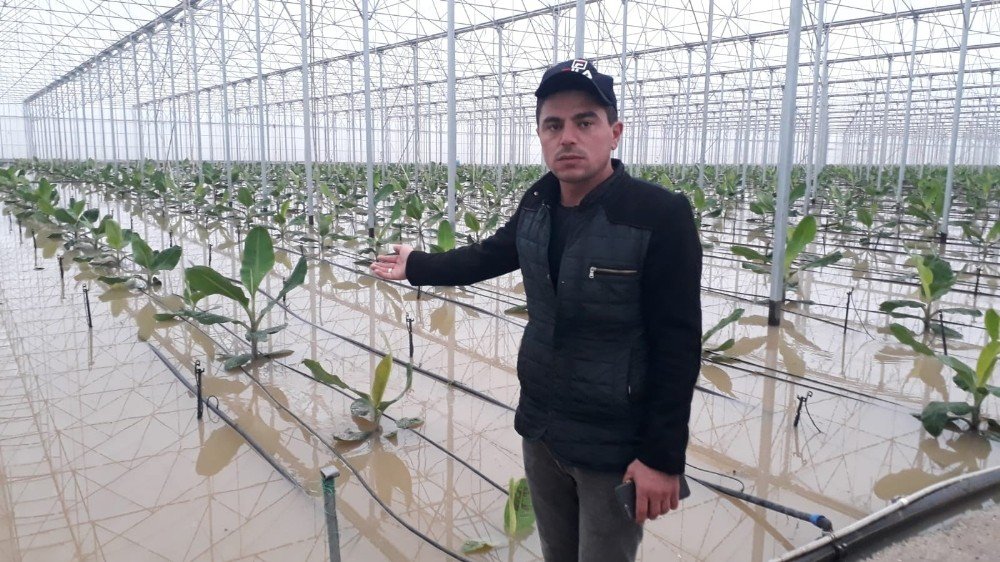 Antalya’da selin bilançosu ağır oldu! 9 bin 530 dekar ekili alan zarar gördü