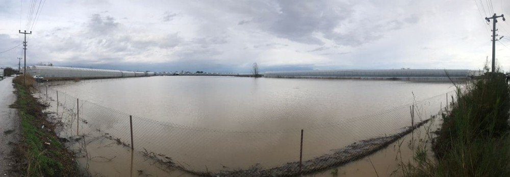 Antalya’da selin bilançosu ağır oldu! 9 bin 530 dekar ekili alan zarar gördü