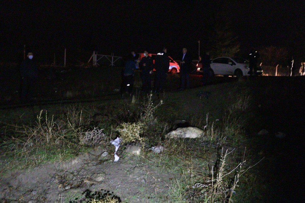 Ankara'da feci olay! 6 köpek zehirlenerek öldürüldü