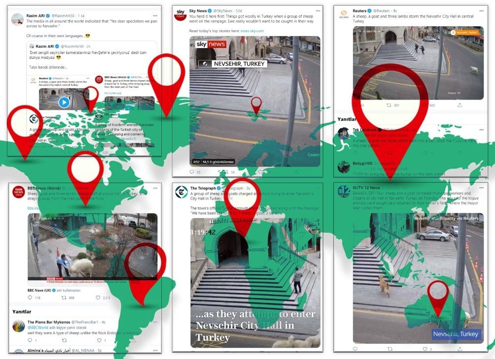 Belediye binasına giren koyunlar dünya medyasında geniş yer buldu