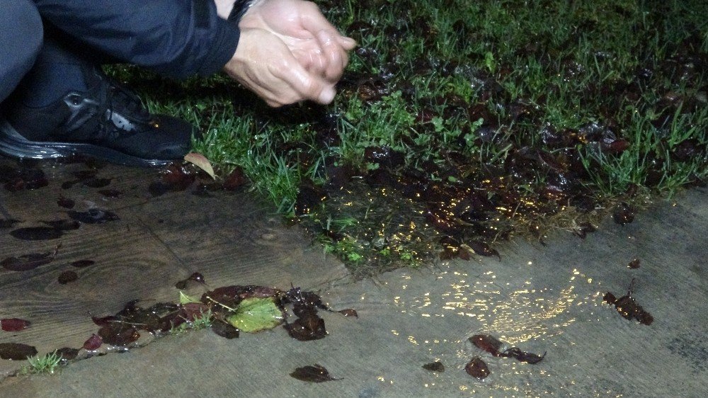 Su kaynakları bitmek üzere olan İstanbul'da şok görüntü!